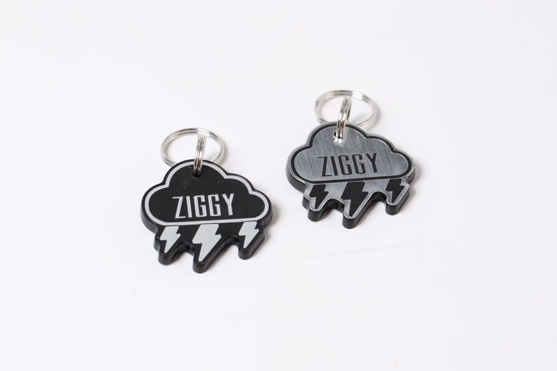 May include: Two silver and black dog tags in the shape of a cloud with lightning bolts. The tags are engraved with the name "Ziggy".