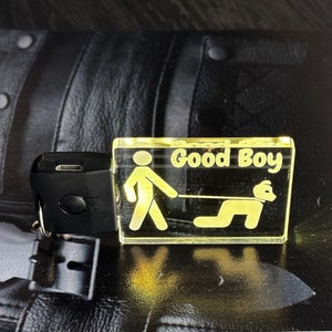 Human Pup Keychain - You Obey Me Keychain - Kitty Play - Light Up Tag - Color Changing - Stocking Stuffer - LED Bone Tag - Acrylic Name Tag