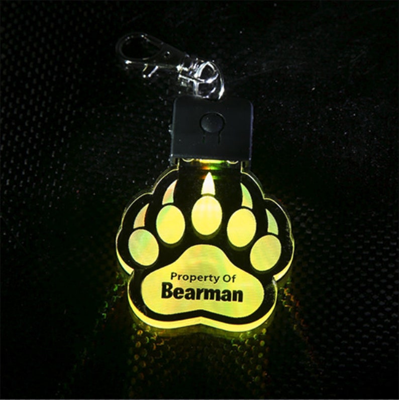 Human Pup Necklace Light Up Dog Tag Color Changing Stocking Stuffer LED Bone Tag Acrylic Name Tag image 9