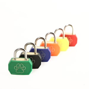 Lucchetti personalizzati per collari da gioco per cuccioli - Lucchetti per polsini da gioco per cuccioli - Ottimo regalo di San Valentino - Regalo per innamorati - Regalo di nozze - Regalo per coppie