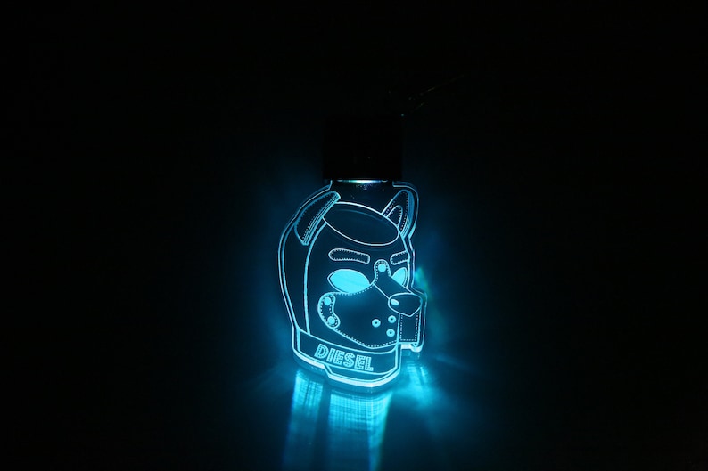 Human Pup Necklace Light Up Dog Tag Color Changing Stocking Stuffer LED Bone Tag Acrylic Name Tag image 4