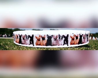 7/8&quot; French Bulldog Parade Dog Ribbon