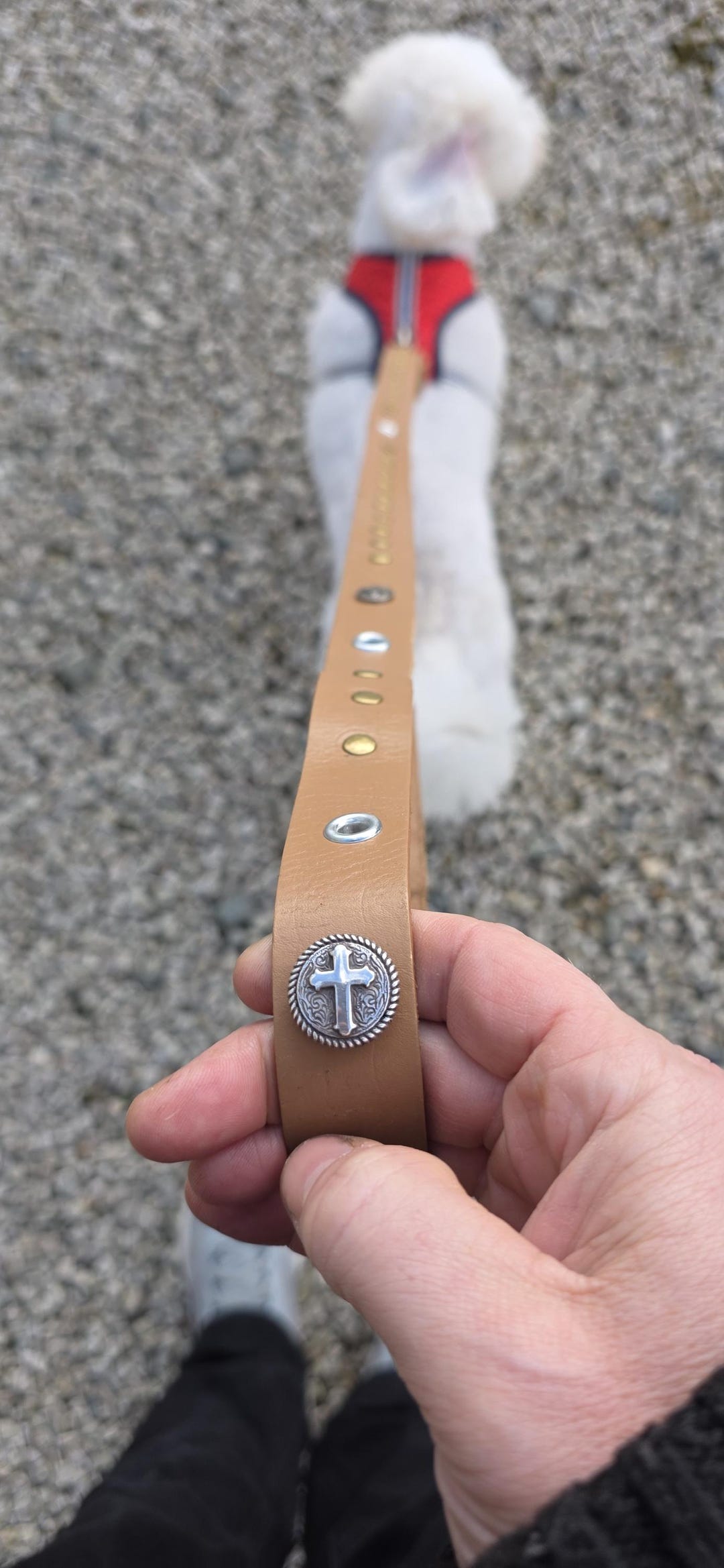 Rosary Dog Lead: Handmade Camel Leather With Bronze Studs - Etsy