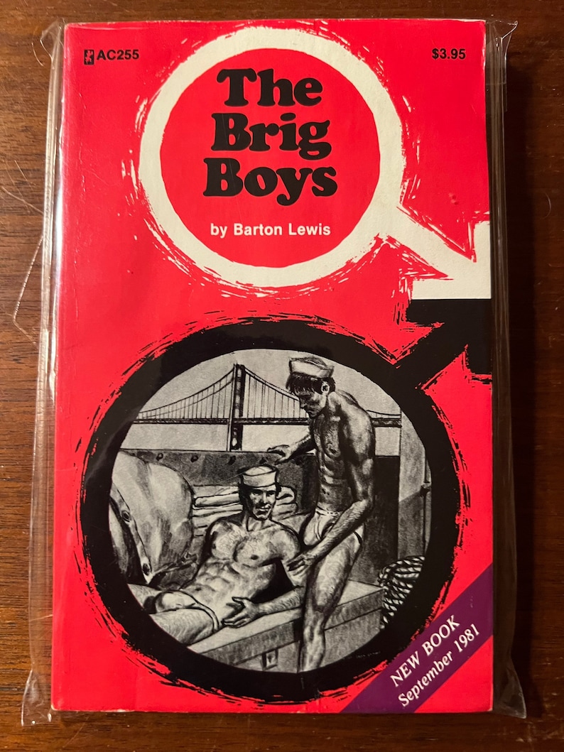 Vintage Gay Pulp Fiction Book the Brig Boys Adonis Classics - Etsy