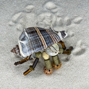 Randal* the Beaded Hermit Crab