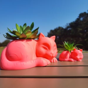 3D-utskriven sovande kattplanter: Mini kattunge suckulentdekor