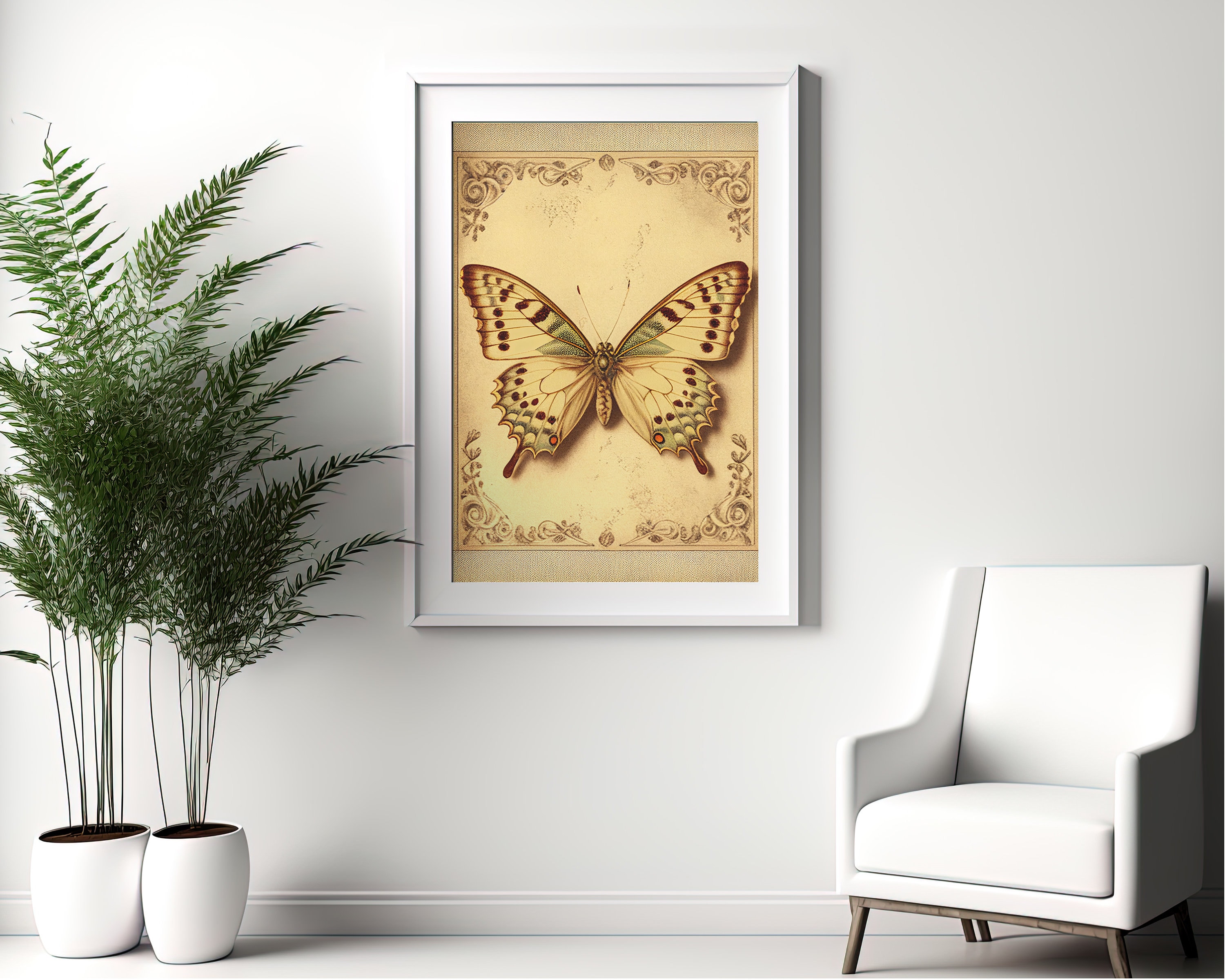 Beautiful Vintage Butterfly Wall Art - Download Now and Add a Touch of ...