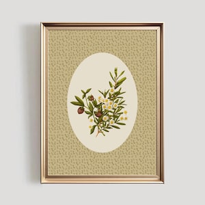 May include: A framed botanical print featuring an oval-shaped floral arrangement of white flowers, green leaves, and brown seed pods. The background is a textured tan color, and the frame is gold.
