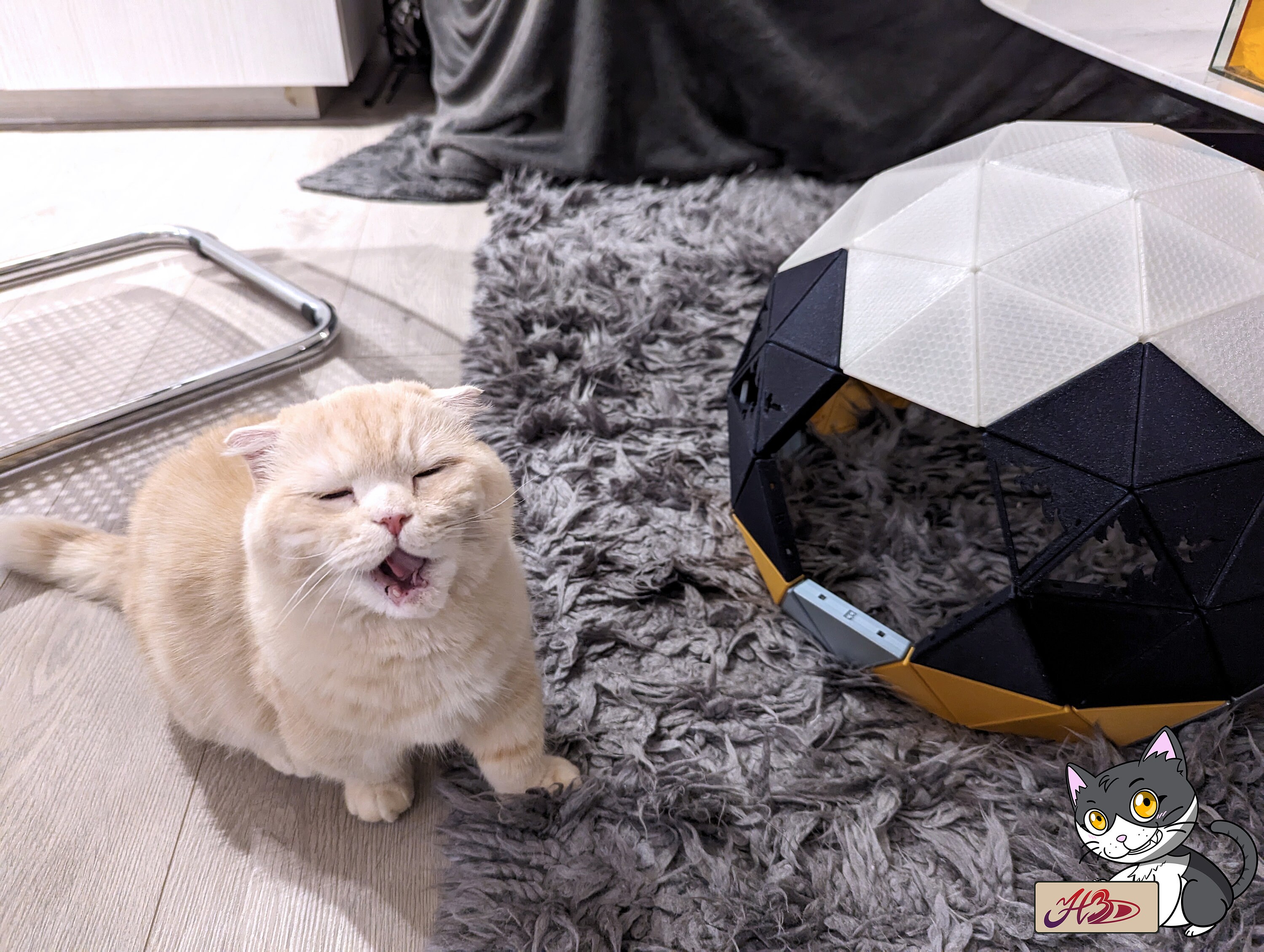 Ultimate 3D Printed Geodesic Cat Dome, Cozy & Stylish Feline