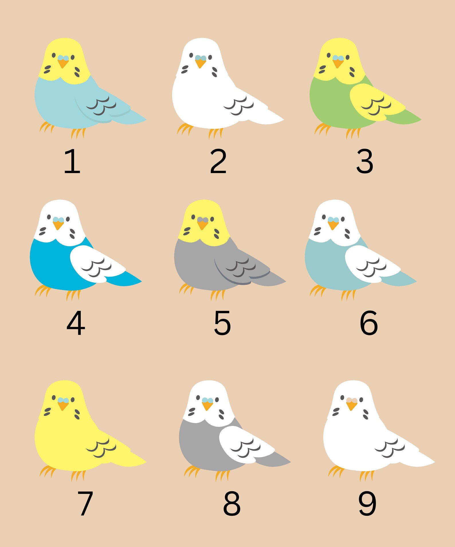 Crazy Budgie Lady - T-shirt Donna In Cotone, Regalo Per Proprietari Di Uccelli - Foto 3
