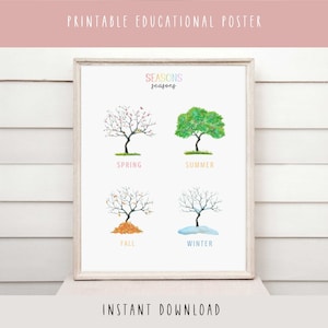 Póster imprimible de las estaciones, póster de aprendizaje Montessori, arte mural para educación en el hogar, arte mural educativo para niños, DESCARGA INSTANTÁNEA, decoración del aula