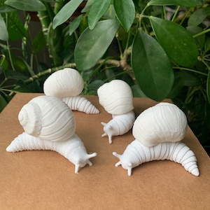 Articulating Snail