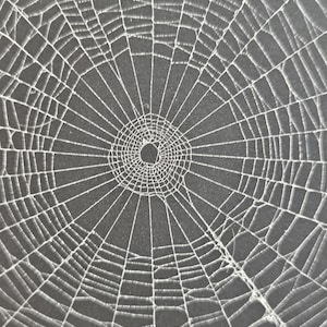 Peut inclure: Gros plan sur une toile d'araignée blanche et complexe, avec un motif radial. Le fond est gris foncé, mettant en valeur la structure détaillée de la toile, avec un centre et des fils rayonnants.