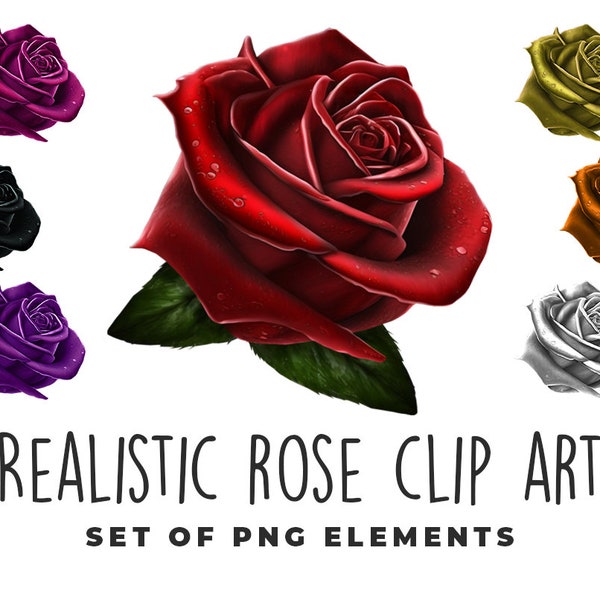 Realistic rose clip art - Transparent digital download - 5 colors