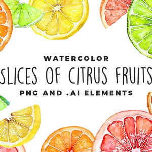 Aquarel plakjes citrusvruchten - .ai en png DIGITALE DOWNLOAD.