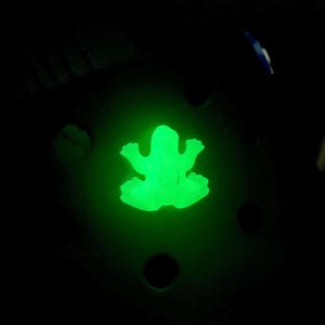 GLOW in the DARK Frog Shoe Charms Jibbetz Gift