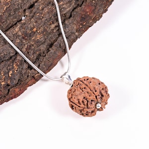 6 Mukhi Nepali Rudraksha Pendant: Sterling Silver Tears of Shiva