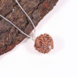 Sterling Silver Rudraksha Pendant: 5 Mukhi Nepali Tears of Shiva