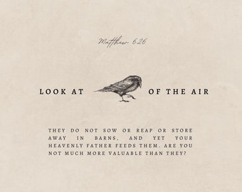 Matthew 6:26 Look at the birds of the air | Square Print | 20x20| Instant Digital Download | Christian Wall Art | Modern Bible Verse Decor |