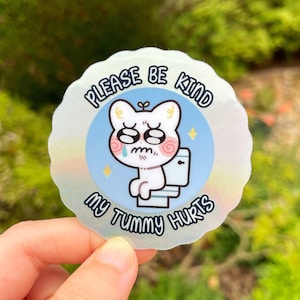 Please Be Kind My Tummy Hurts Sticker | Premium Holographic Vinyl Sticker | Sticker Sheet, Bullet Journal Stickers, Funny Stickers