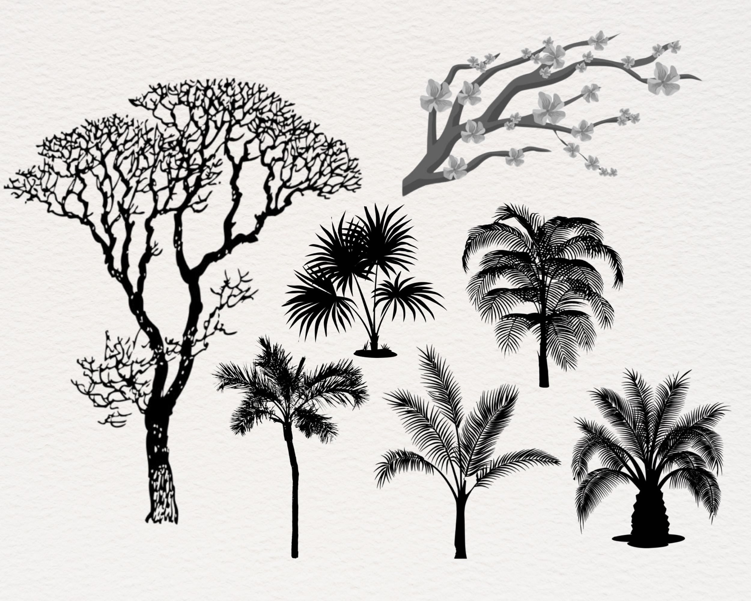 65 Procreate Tree Stamps | Realistic Tree & Foliage Brushes for ...