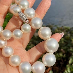 Pode incluir: Um colar de p&eacute;rolas brancas grandes e lustrosas. As p&eacute;rolas s&atilde;o redondas e de tamanho uniforme, com um alto brilho. O colar &eacute; preso com um fecho prateado, adornado com pequenas pedras transparentes e uma &uacute;nica pedra vermelha. As p&eacute;rolas est&atilde;o sendo seguradas.
