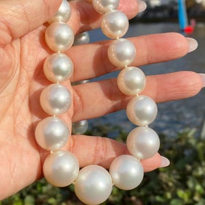 Pode incluir: Um colar de p&eacute;rolas grandes, branco-cremoso. As p&eacute;rolas s&atilde;o esf&eacute;ricas e de tamanho uniforme, enfiadas juntas. O colar &eacute; exibido contra um fundo desfocado de &aacute;gua e vegeta&ccedil;&atilde;o.