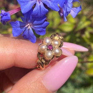 May include: A gold ring featuring a flower-shaped cluster design. The center of the flower is set with a small, round, deep pink ruby, surrounded by five round, white, lustrous pearls arranged as petals. The band has a textured, ornate metal finish.