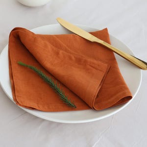 Rust Cinnamon Cotton Napkins: Soft Stonewashed Cloth