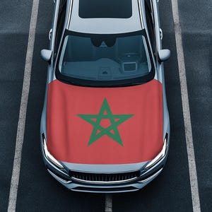 May include: A silver car with a red and green Moroccan flag car cover.