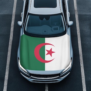以下が含まれることがあります： アルジェリアの国旗のデザインが施されたシルバーの車。国旗は緑と白の背景に赤い三日月と星のエンブレムが特徴です。車は暗いアスファルトの表面に駐車されています。