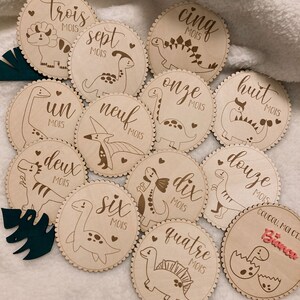 Lot de 12 cartes étapes bébé - mois - thème Dinosaures