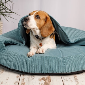 Calming Dog Bed, Dog Cave Bed Round, Washable Dog Bed, Pet Bed with Removable Cover, Hooded Dog Bed, Snuggery Burrowing Cave