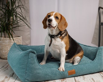 Letto per cani con rivestimento lavabile rimovibile, Divano letto per gatti, Divano per cani turchese, Letto per cani di taglia grande, Regalo mamma cane, Regalo compleanno cane