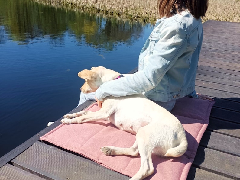 Peut inclure: Une personne assise sur une jet&eacute;e en bois avec un chien blanc. Le chien est allong&eacute; sur un lit pour chien rose. La personne porte une veste en jean bleue et le chien regarde l'eau.