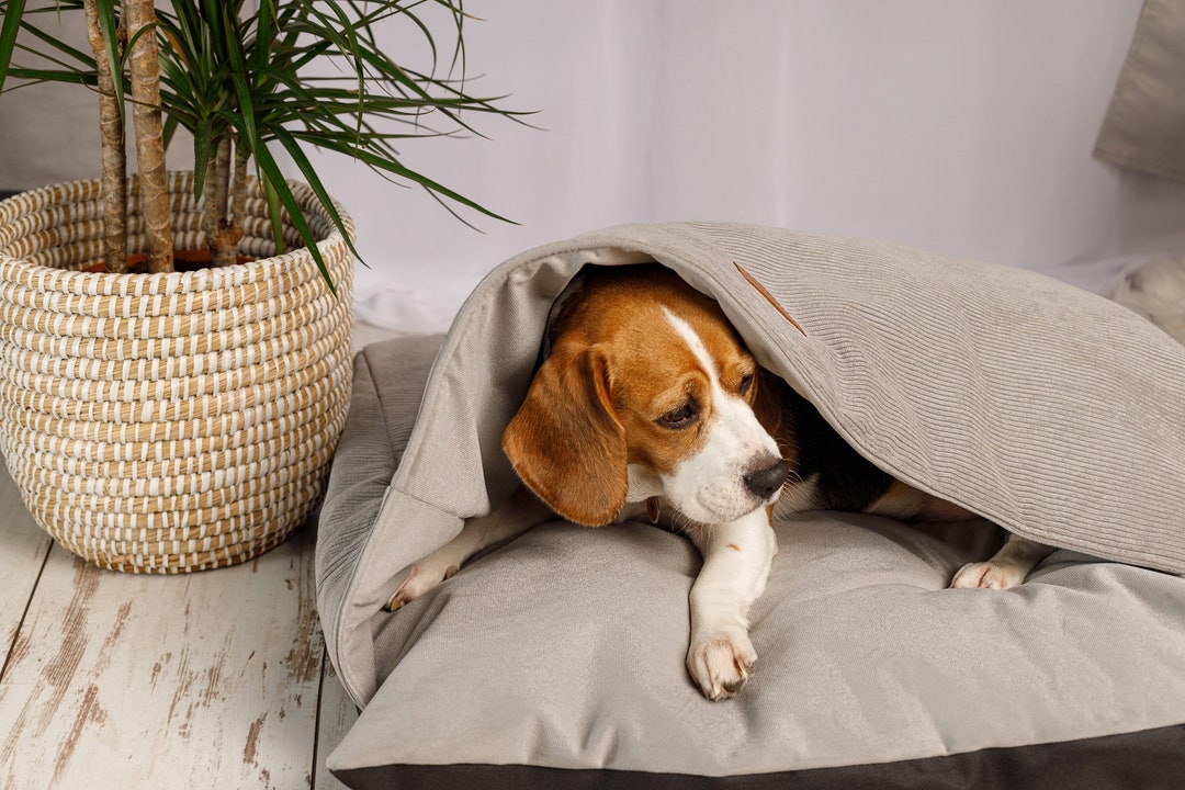Large Dog Cave Bed With Hood Snuggle Pet Bed, Cozy Dog Pillow With
