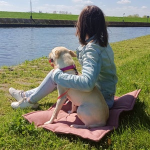 Peut inclure: Une femme et un chien assis sur un lit pour chien rose au bord d'un canal. La femme porte une veste en jean bleue et un jean. Le chien est de couleur brun clair et porte un collier rose.