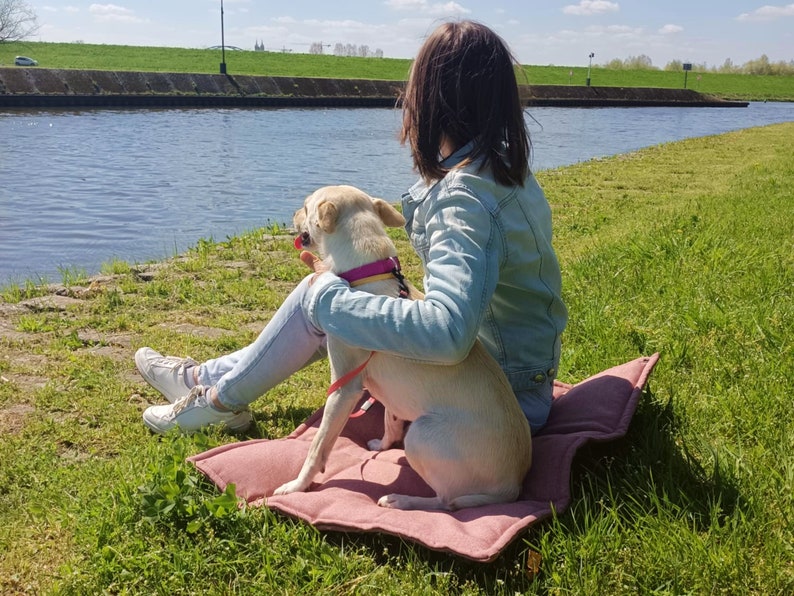 Peut inclure: Une femme et un chien assis sur un lit pour chien rose au bord d'un canal. La femme porte une veste en jean bleue et un jean. Le chien est de couleur brun clair et porte un collier rose.