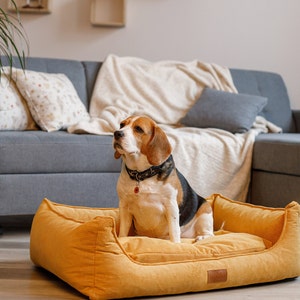 Lit pour chien avec housse lavable, Lit pour animal de compagnie pour chiens et chats, Grand lit pour chien avec housse amovible, Grand lit pour animal de compagnie en velours côtelé, Canapé-lit pour chat, Cadeau pour chien image 5