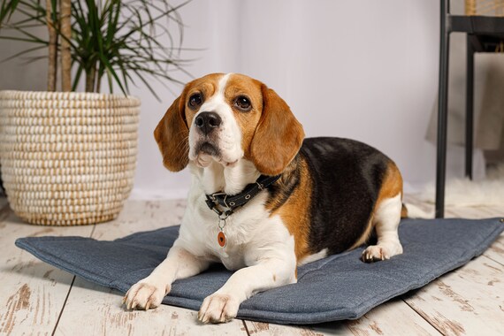 Dog nap mat hotsell