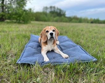 Dog Settle Mat, Travel Dog Pad, Picnic Pet Blanket, Washable Dog Mat, Travel Bed for Dogs, Indoor Dog Mat