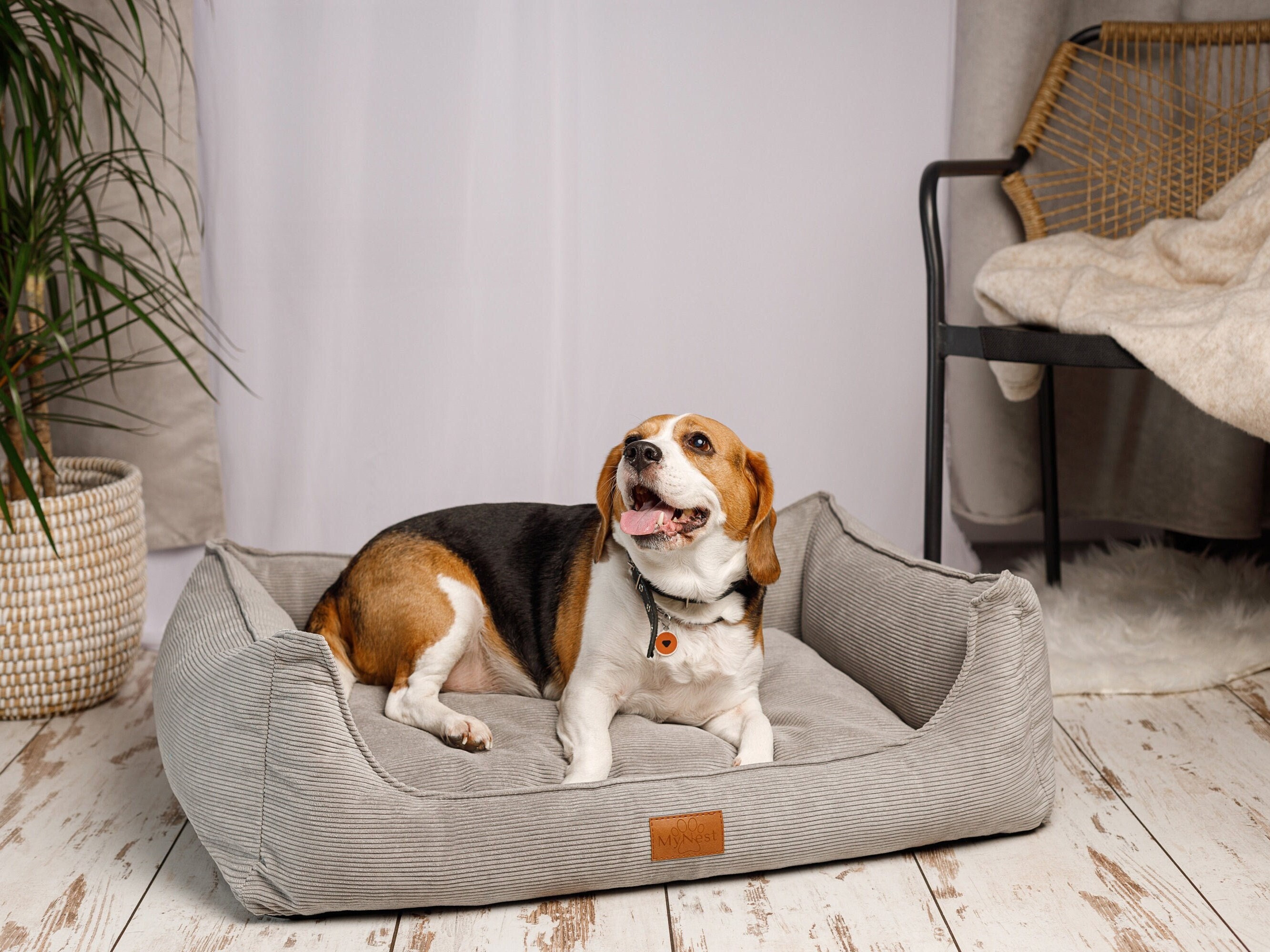 Pet Bedding