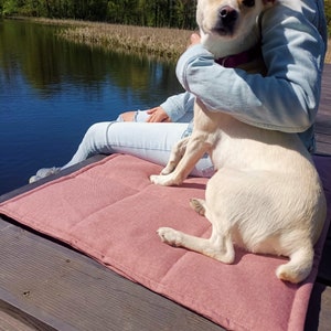 Peut inclure: Un chien blanc aux oreilles brunes est assis sur un lit pour chien rose. Le chien regarde la cam&eacute;ra. Le lit pour chien est sur une surface en bois.