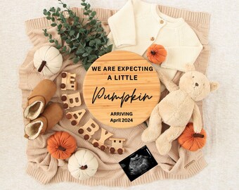 Digital Pregnancy Announcement gender neutral, fall pregnancy announcement for Instagram and Facebook