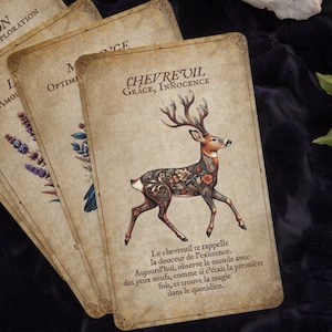 Oracle des Gardiens de Garoulia - Cartes de Divination Naturelles - Animaux et Plantes - Guidance Spirituelle - Protection de la Forêt