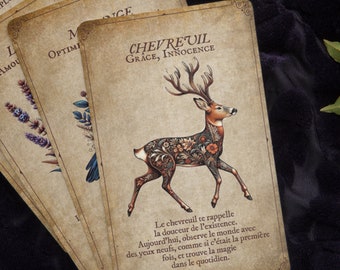 Guardians of Garoulia Oracle - Natural Divination Cards - Animals and Plants - Spiritual Guidance - Forest Protection