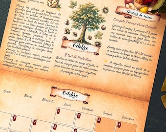 2026 Calendar • 12 Months of Flavors & Knowledge • Recipes • Nature Tips • Rituals & Seasons • Slow Living • Gift Ideas