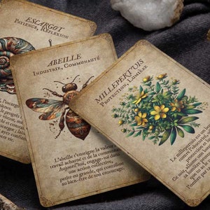 May include: Three vintage-style oracle cards with illustrations of a snail, a bee, and a bouquet of yellow flowers. The cards have French text, including "ESCARGOT," "ABEILLE," and "MILLEPERTUIS."