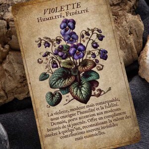 May include: A vintage-style card featuring a botanical illustration of purple violets with green leaves. The card has text in French: "VIOLETTE, HUMILIT&Eacute;, FID&Eacute;LIT&Eacute;" and a longer descriptive paragraph. The card has a decorative border and a sepia tone.
