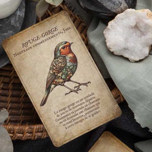 May include: A vintage-style card featuring a detailed illustration of a robin with intricate floral and mechanical designs. The card has French text: "ROUGE-GORGE, NOUVEAUX COMMENCEMENTS, JOIE". The card is part of a set.
